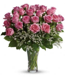 Long-stemmed Pink Roses