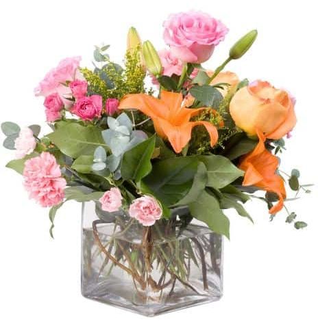 A mix of pinks, orange and peach in a clear cube