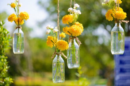 Yellow flowers hanging in glass vases