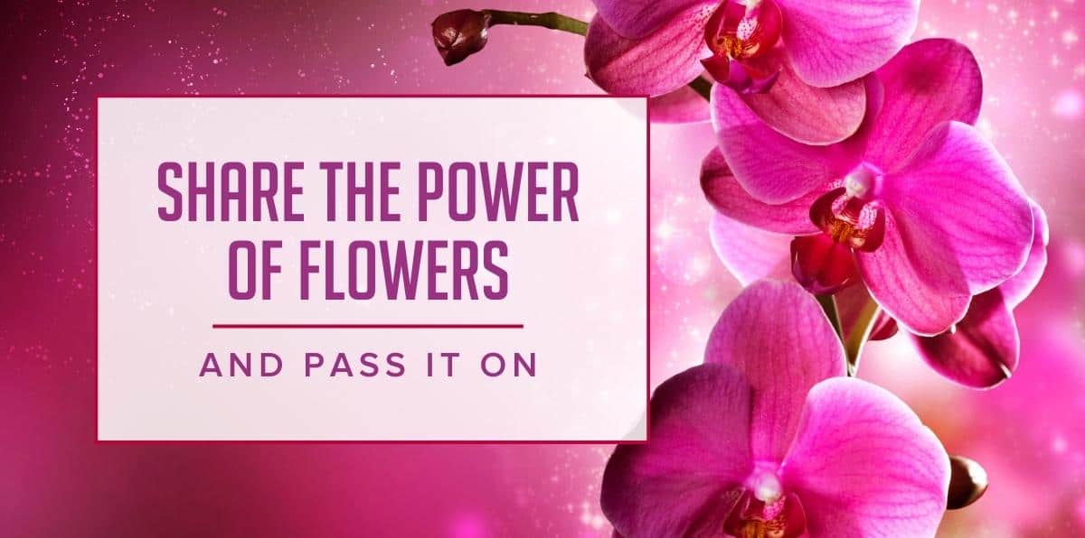 The Ultimate “Just Because” Flowers and Card Messages for Your Best