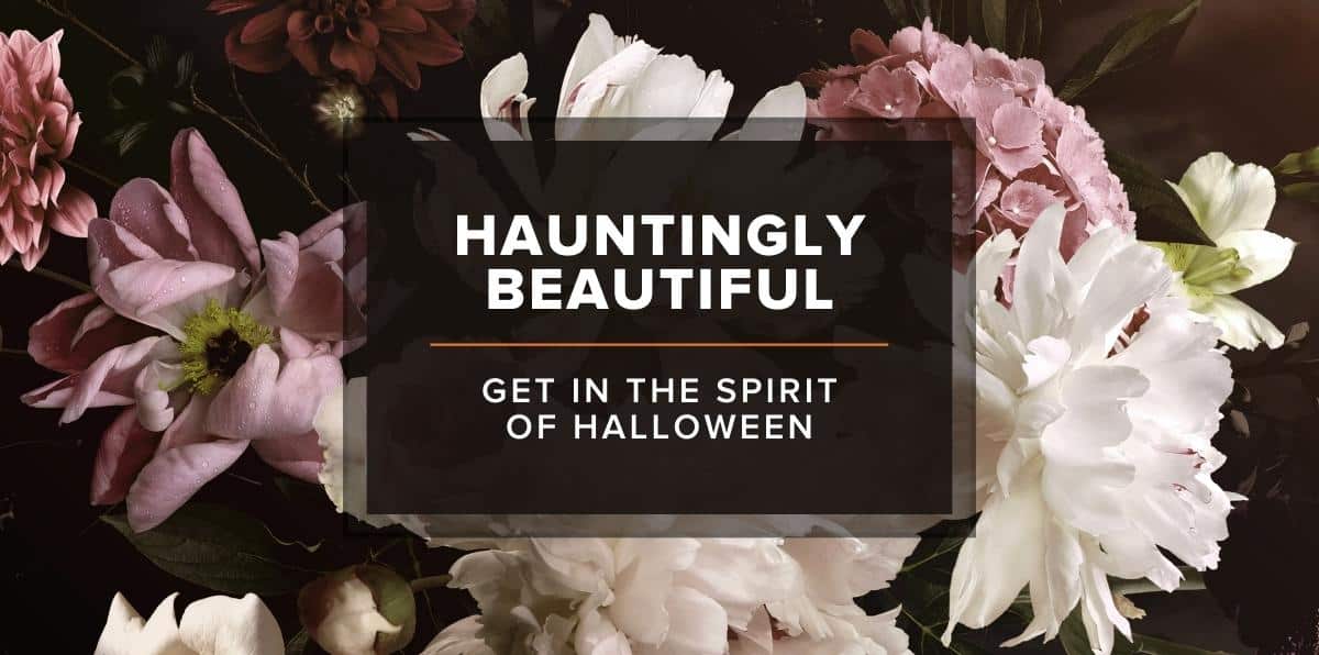 Tips for Crafting Eerie and Imaginative Flower Displays for Spooky