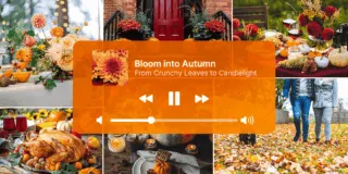 lifestyle Header Asset_ 1200×600 px